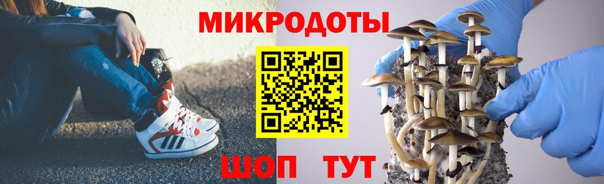 Галлюциногенные грибы ЛСД Вичуга